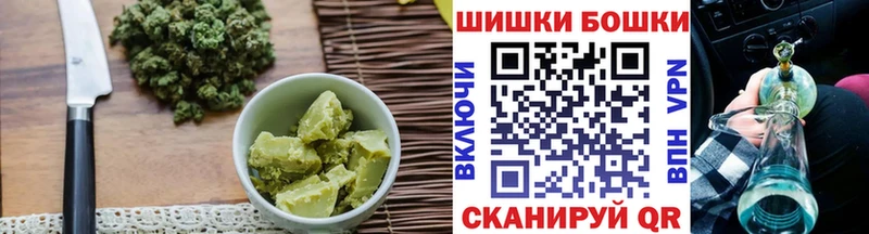купить наркотик  дарк нет формула  Canna-Cookies конопля  Заводоуковск 