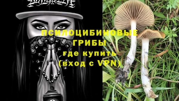 шишки Абинск