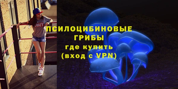 шишки Абинск