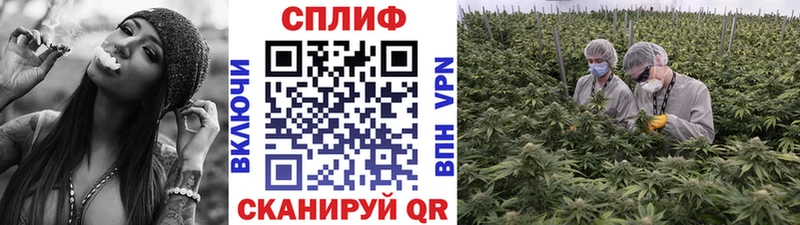 Каннабис семена  Заводоуковск 